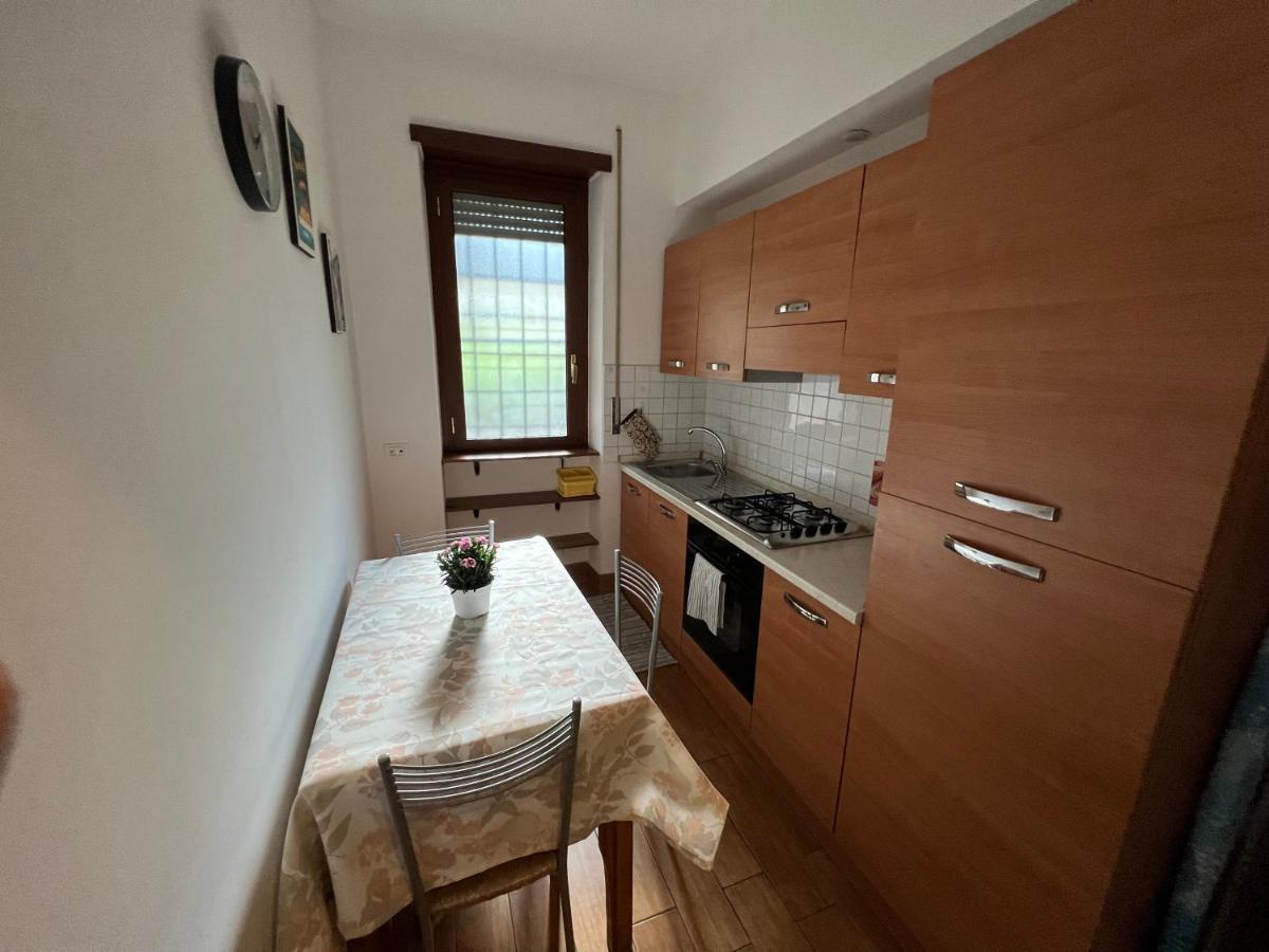 Vatican Flat Cozy With Terrace روما المظهر الخارجي الصورة